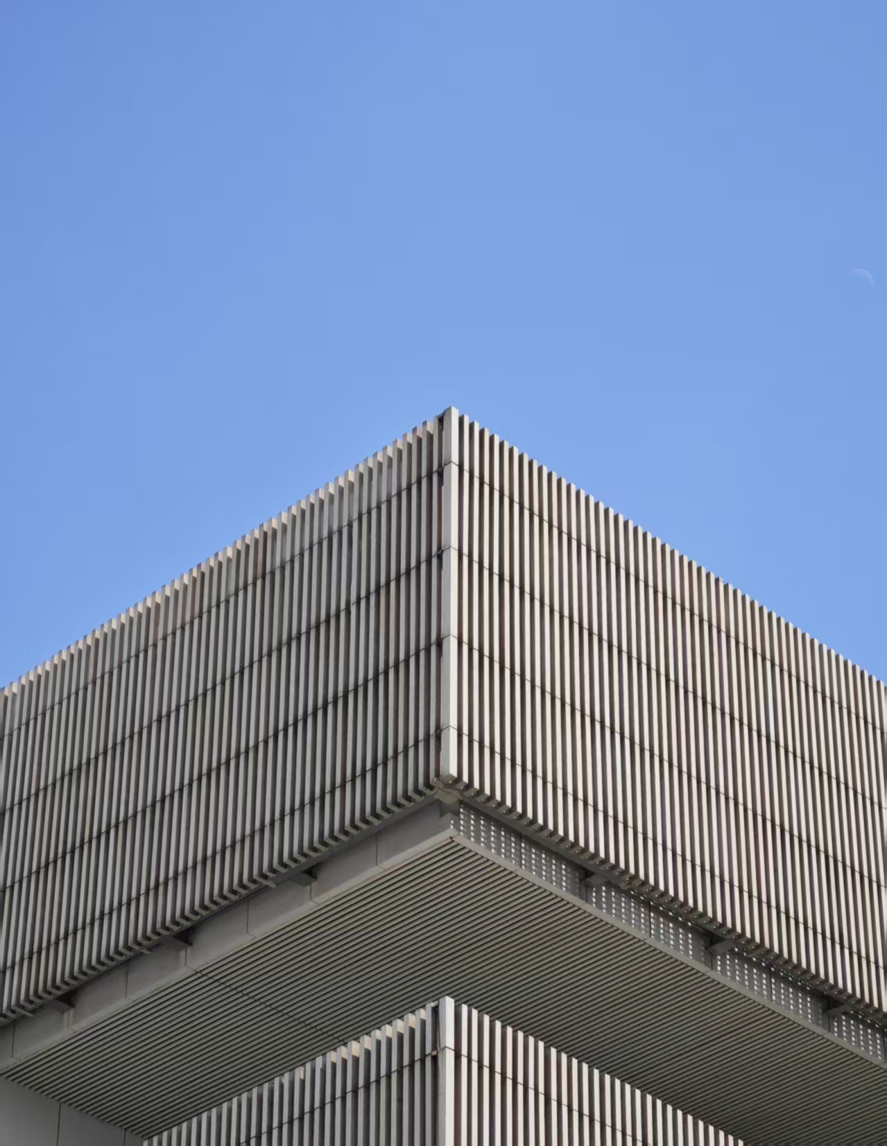作品