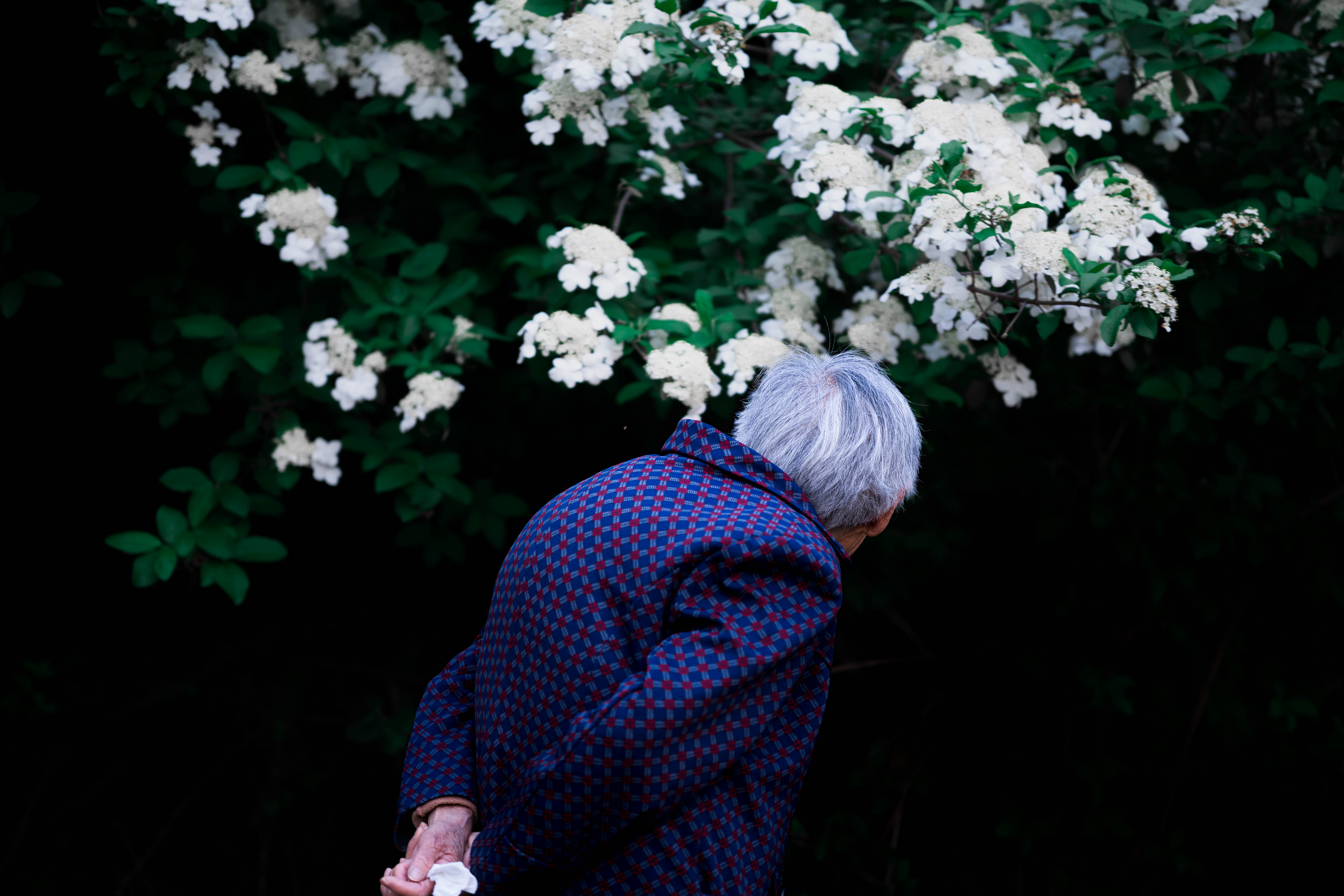 作品