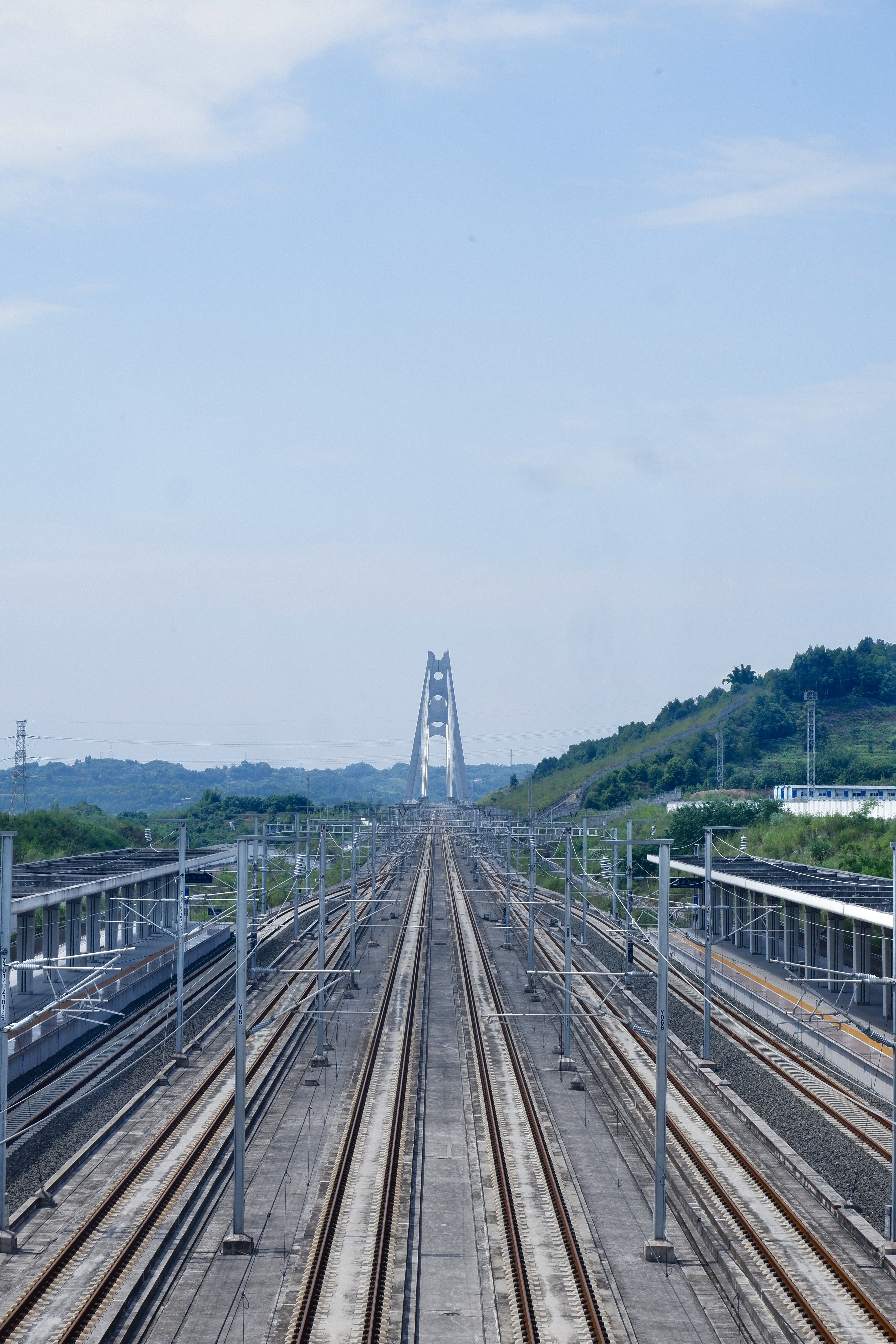 作品