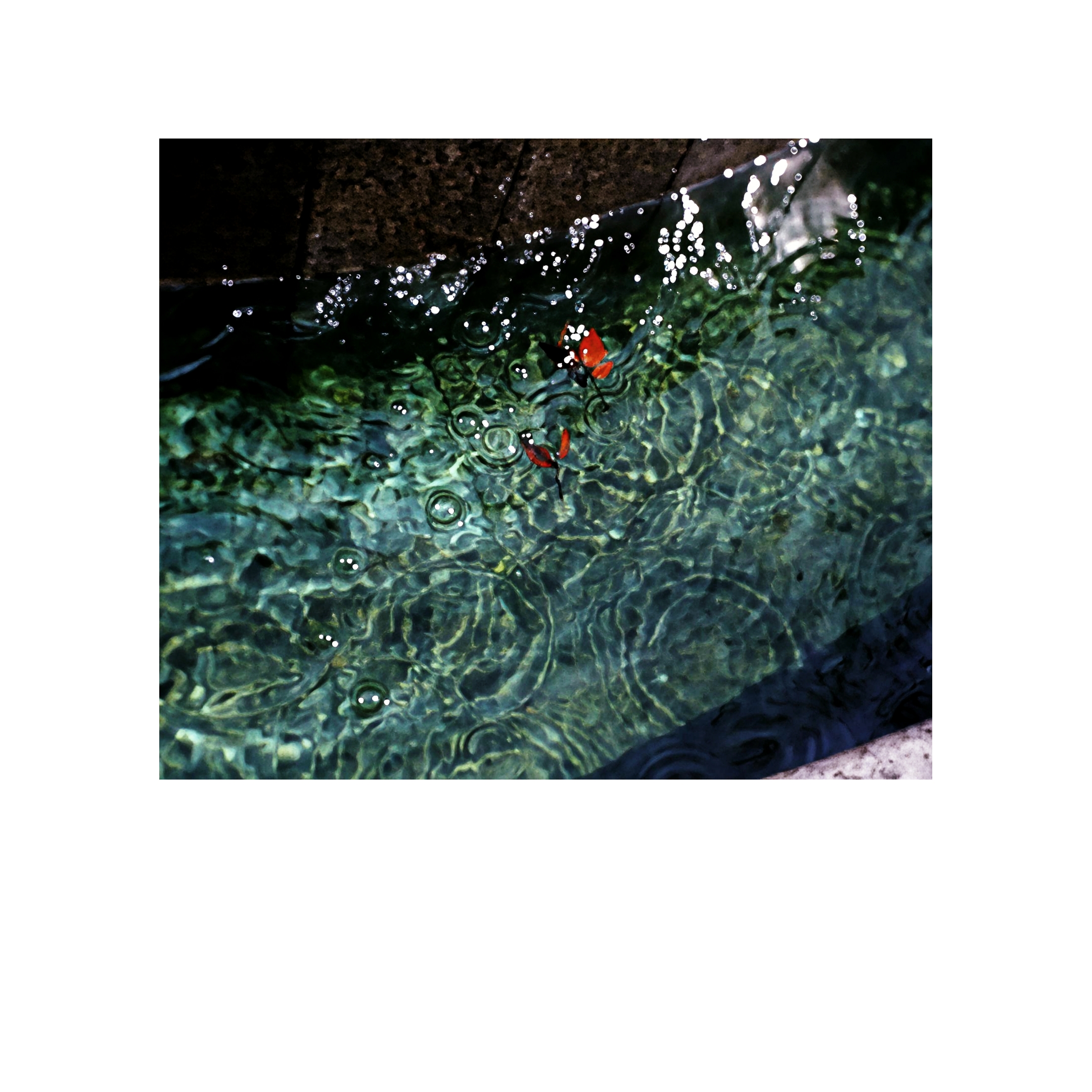 作品