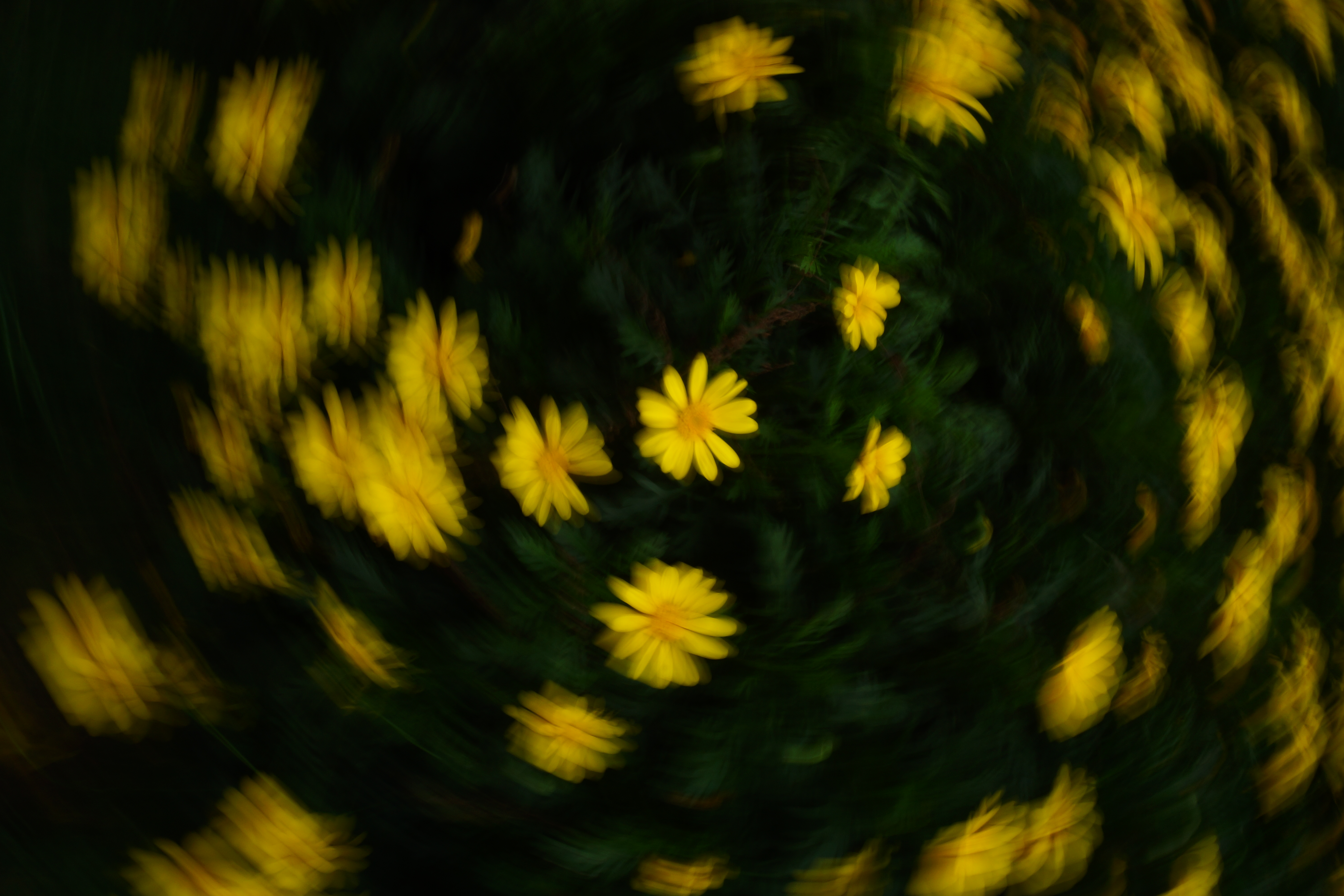 作品