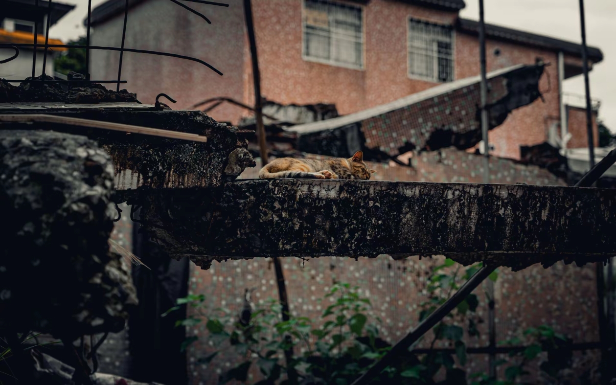 作品
