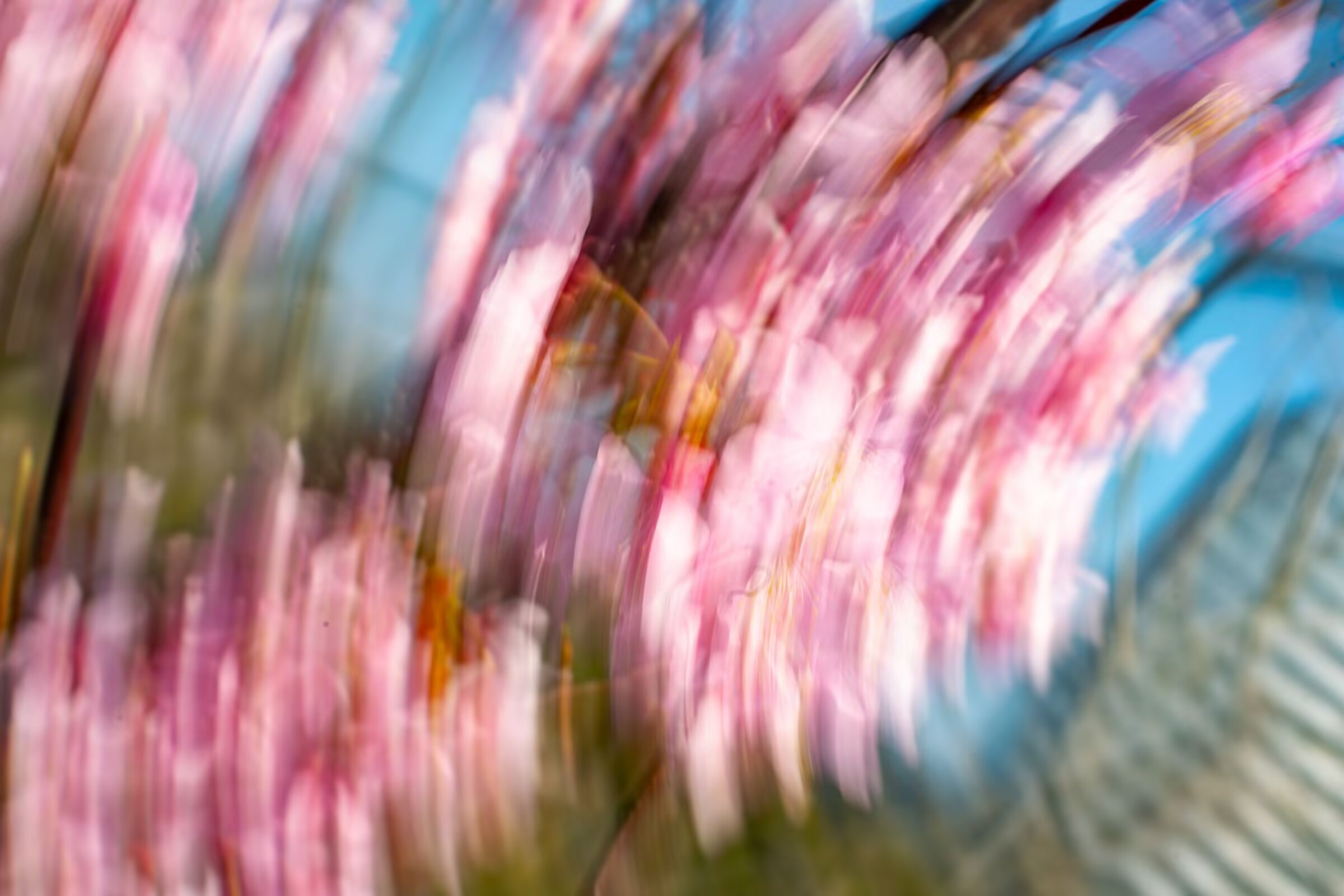 作品