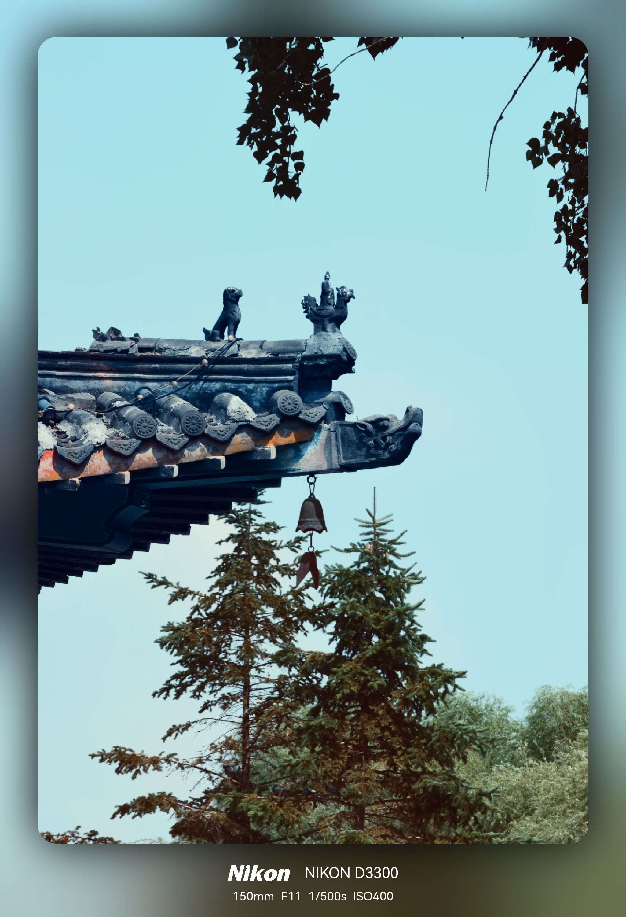 作品