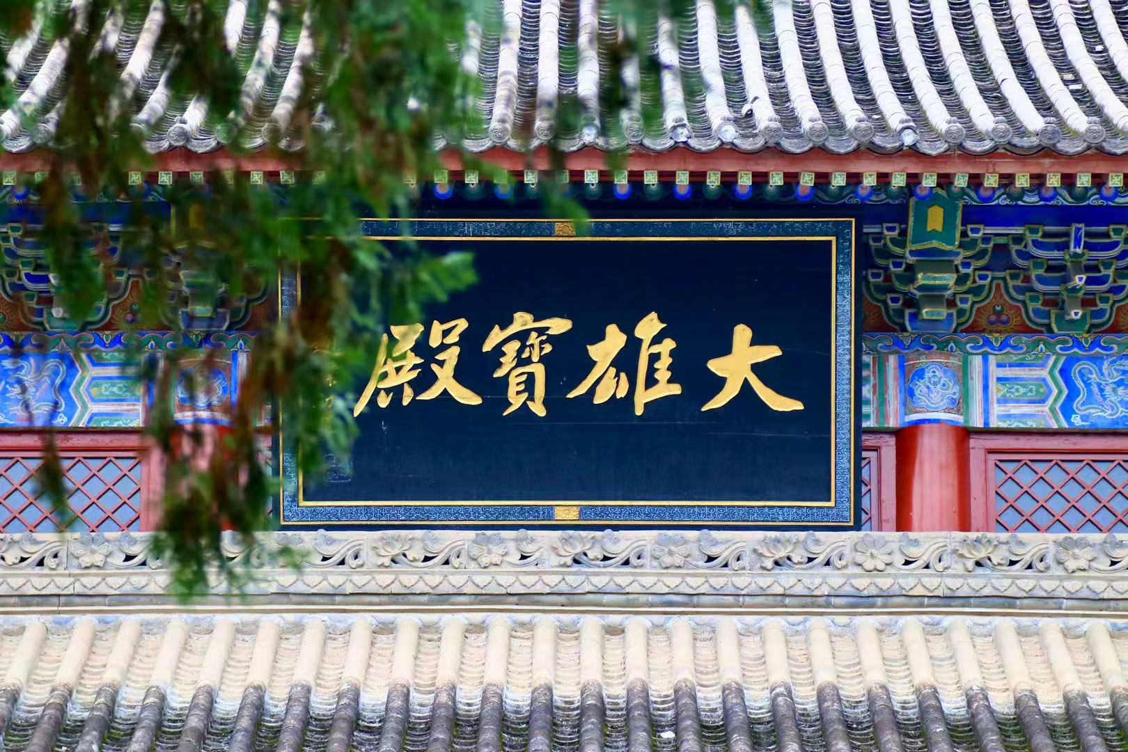 作品