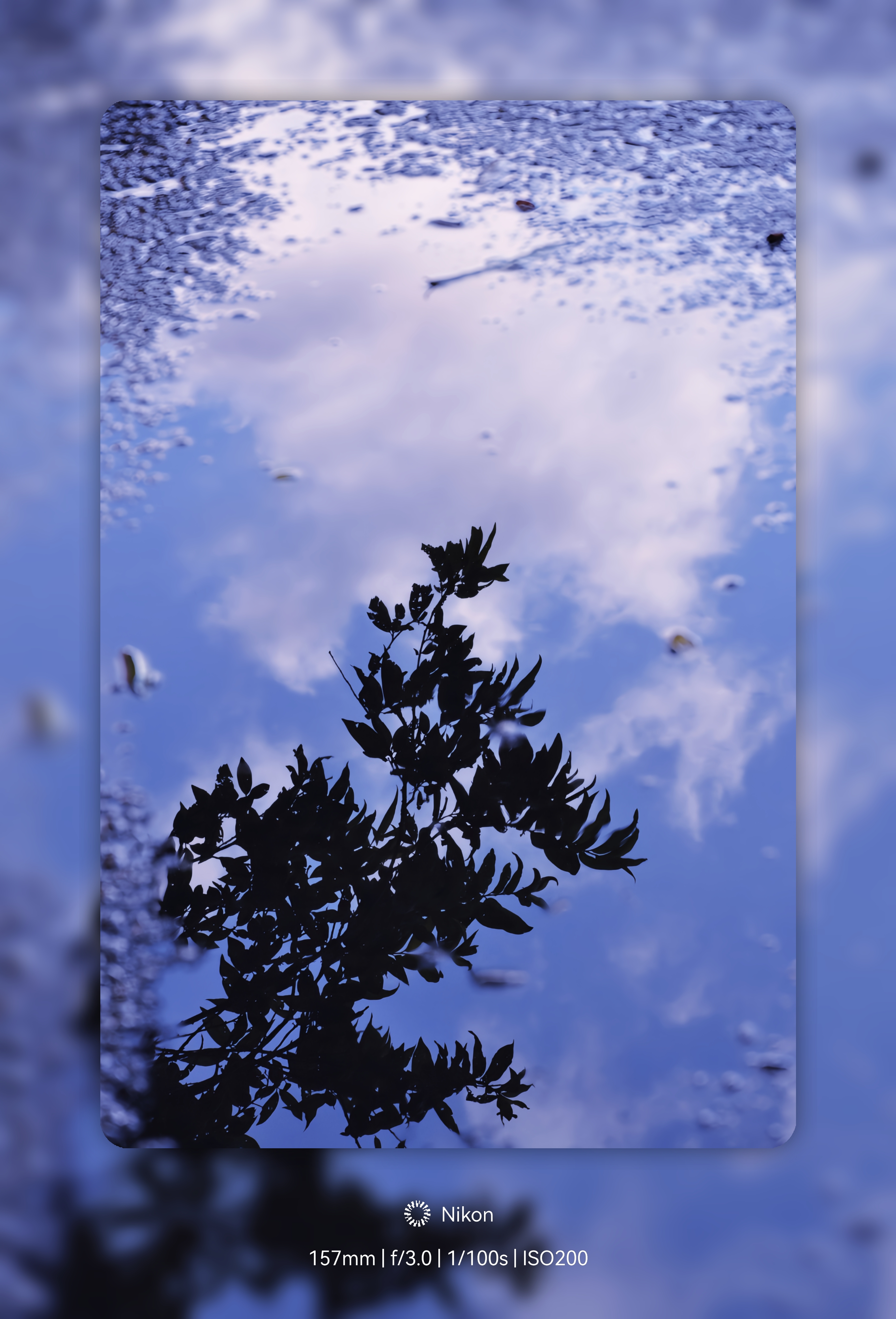 作品