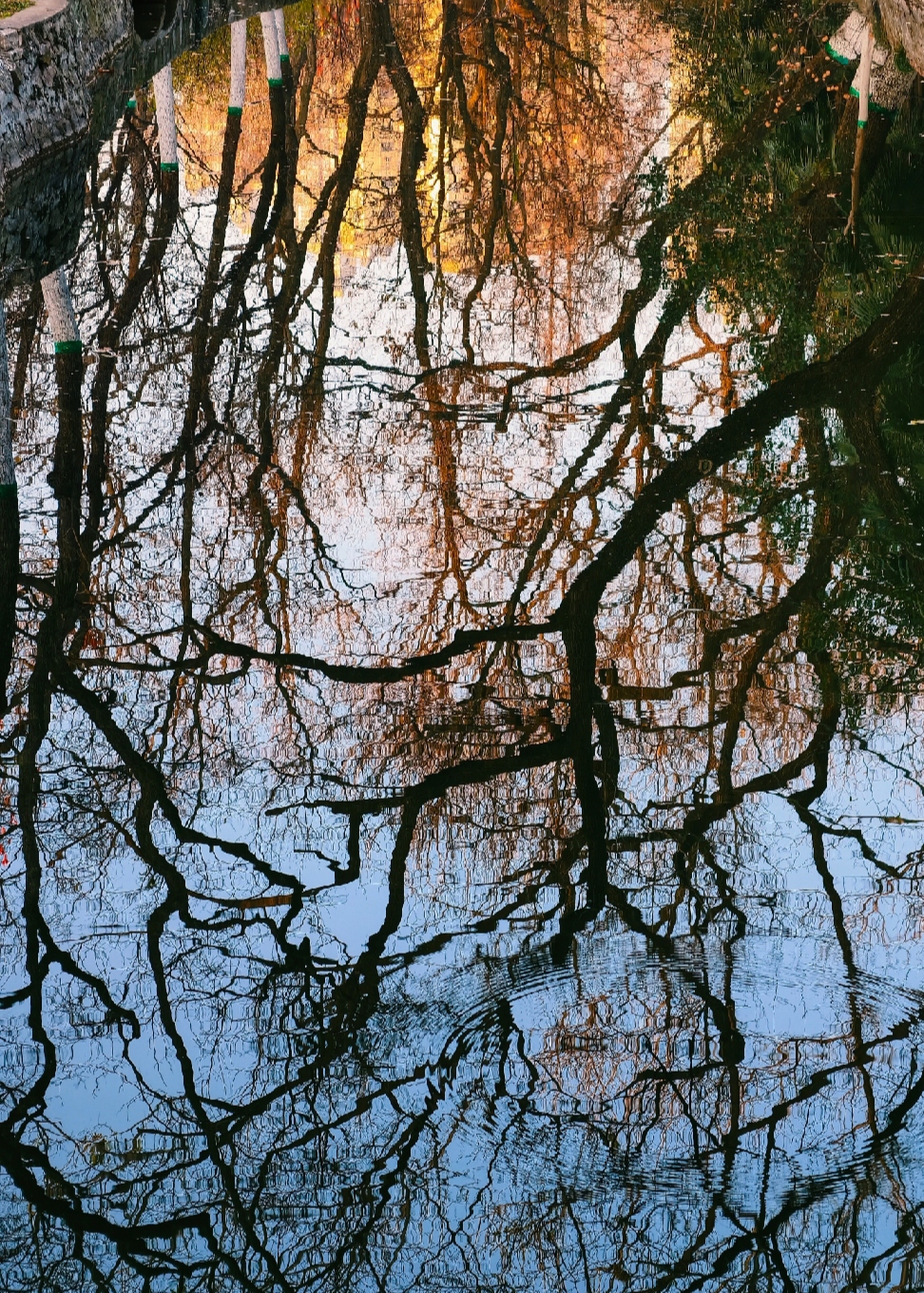 作品