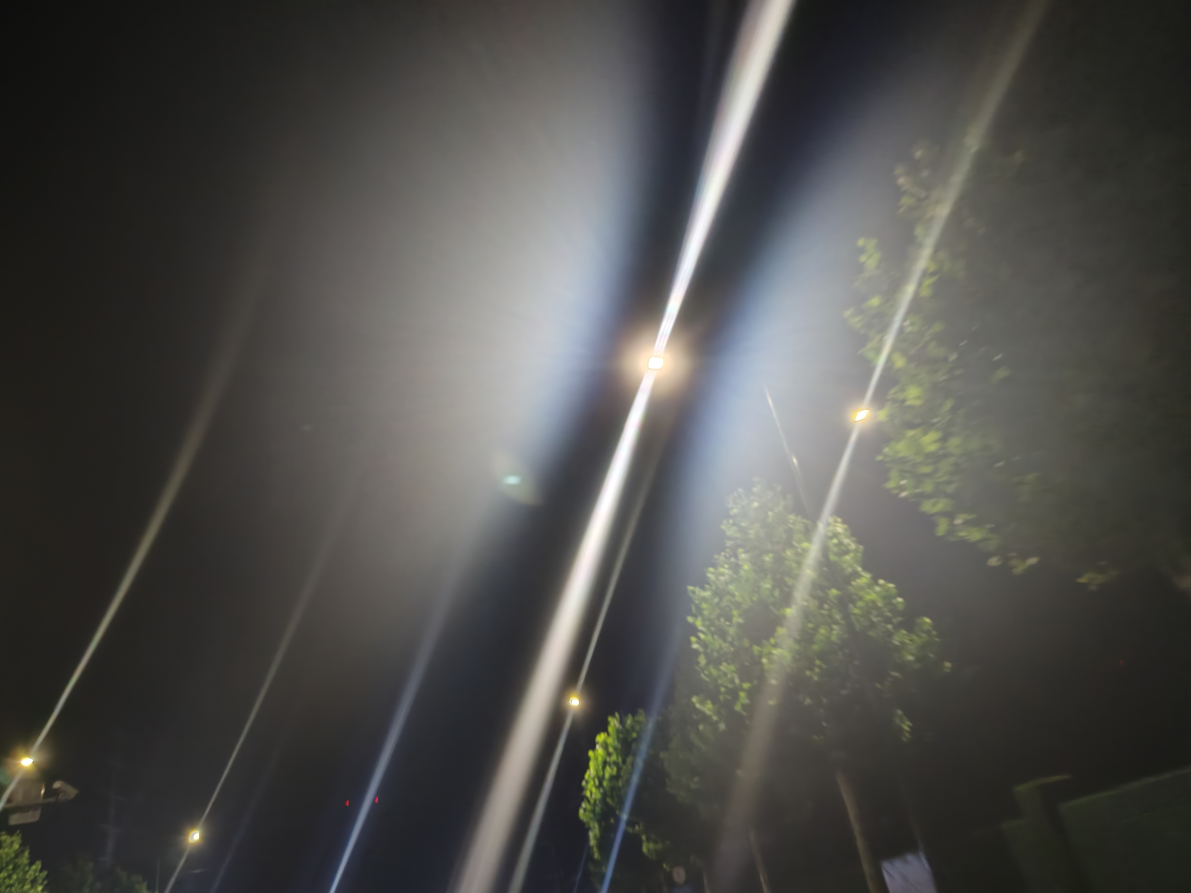 作品