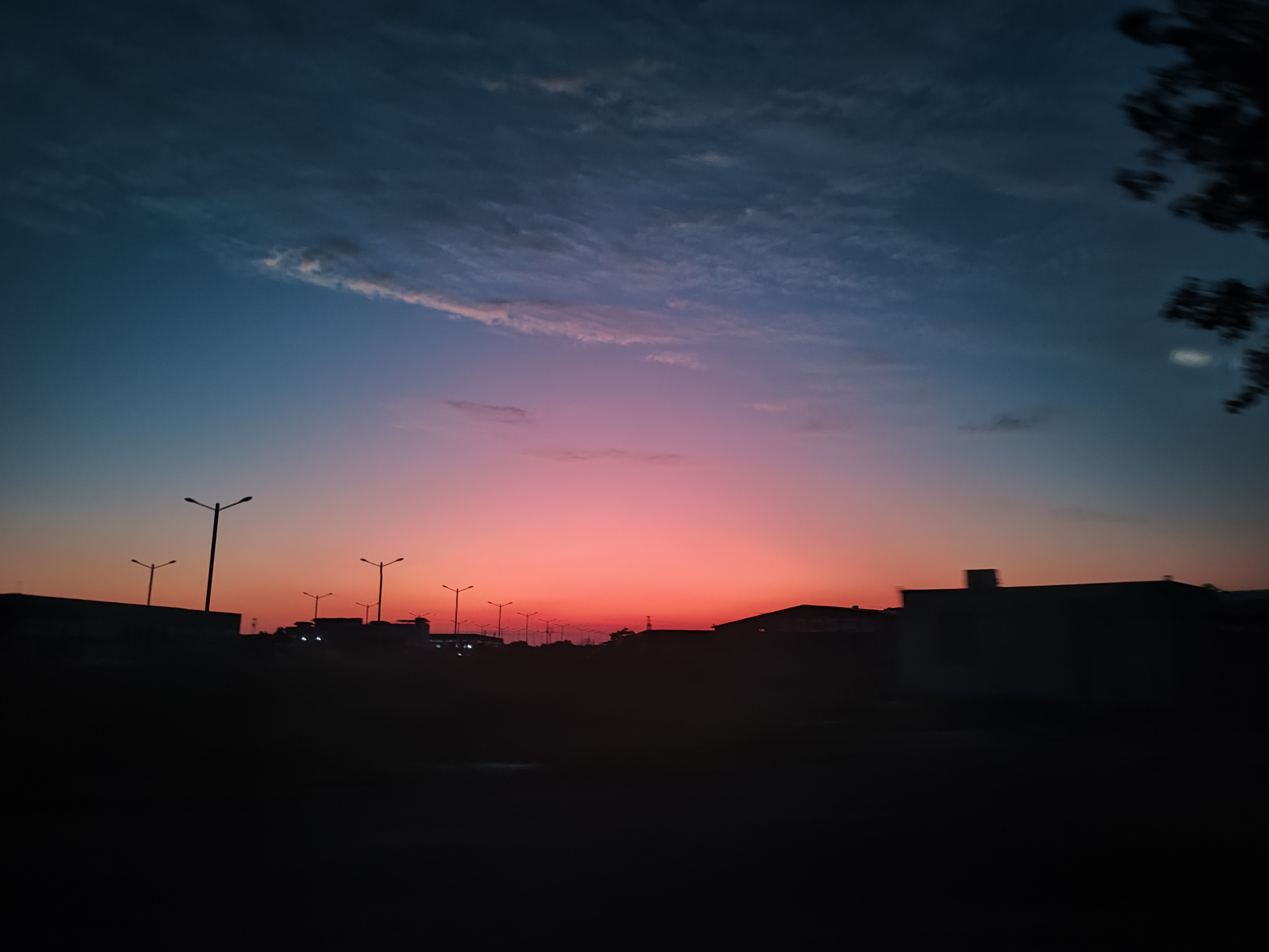 作品