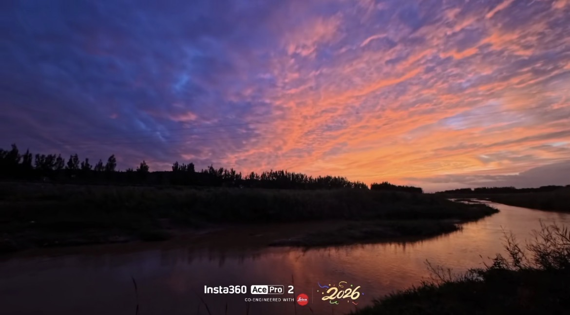 作品