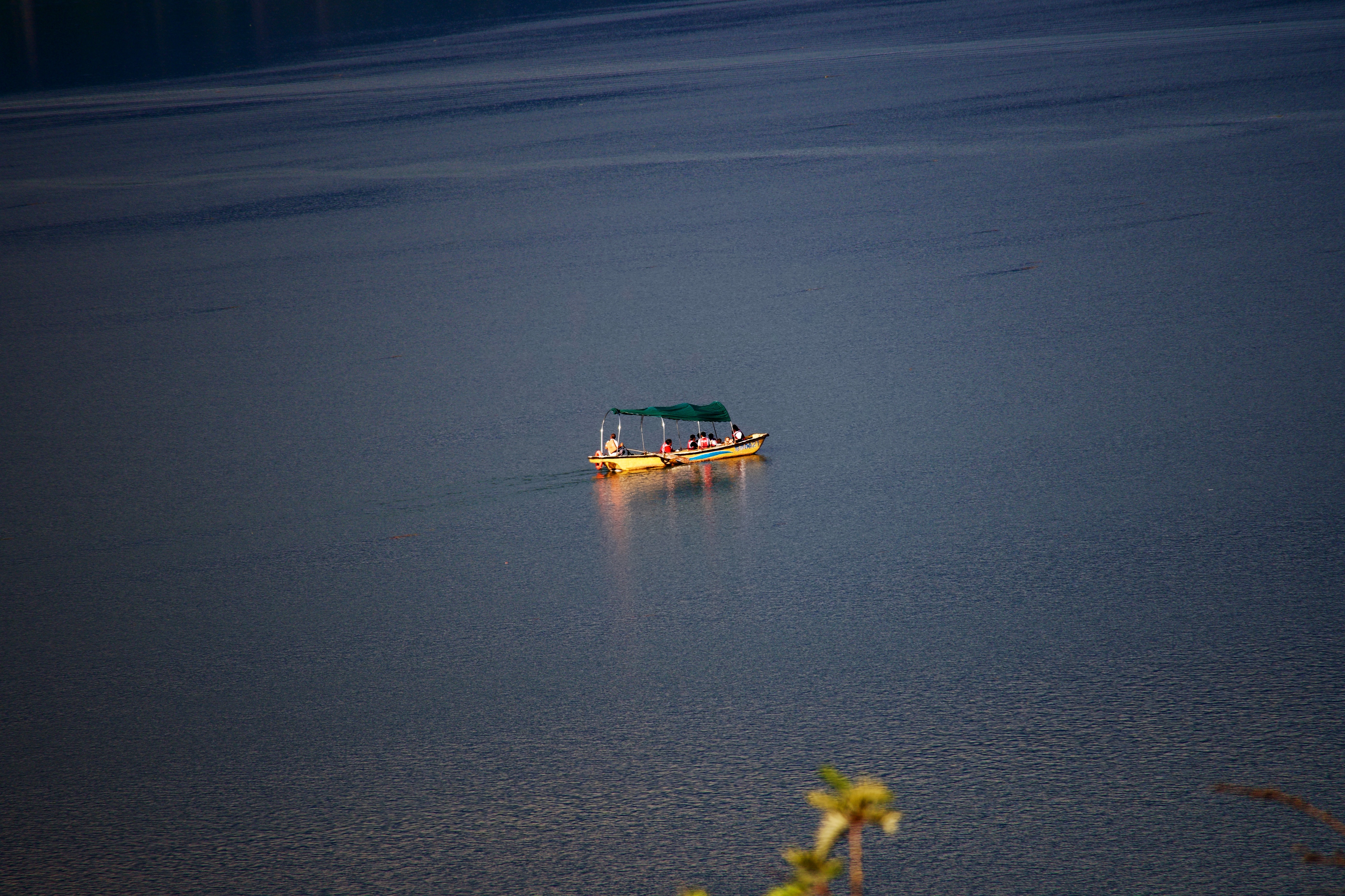 作品
