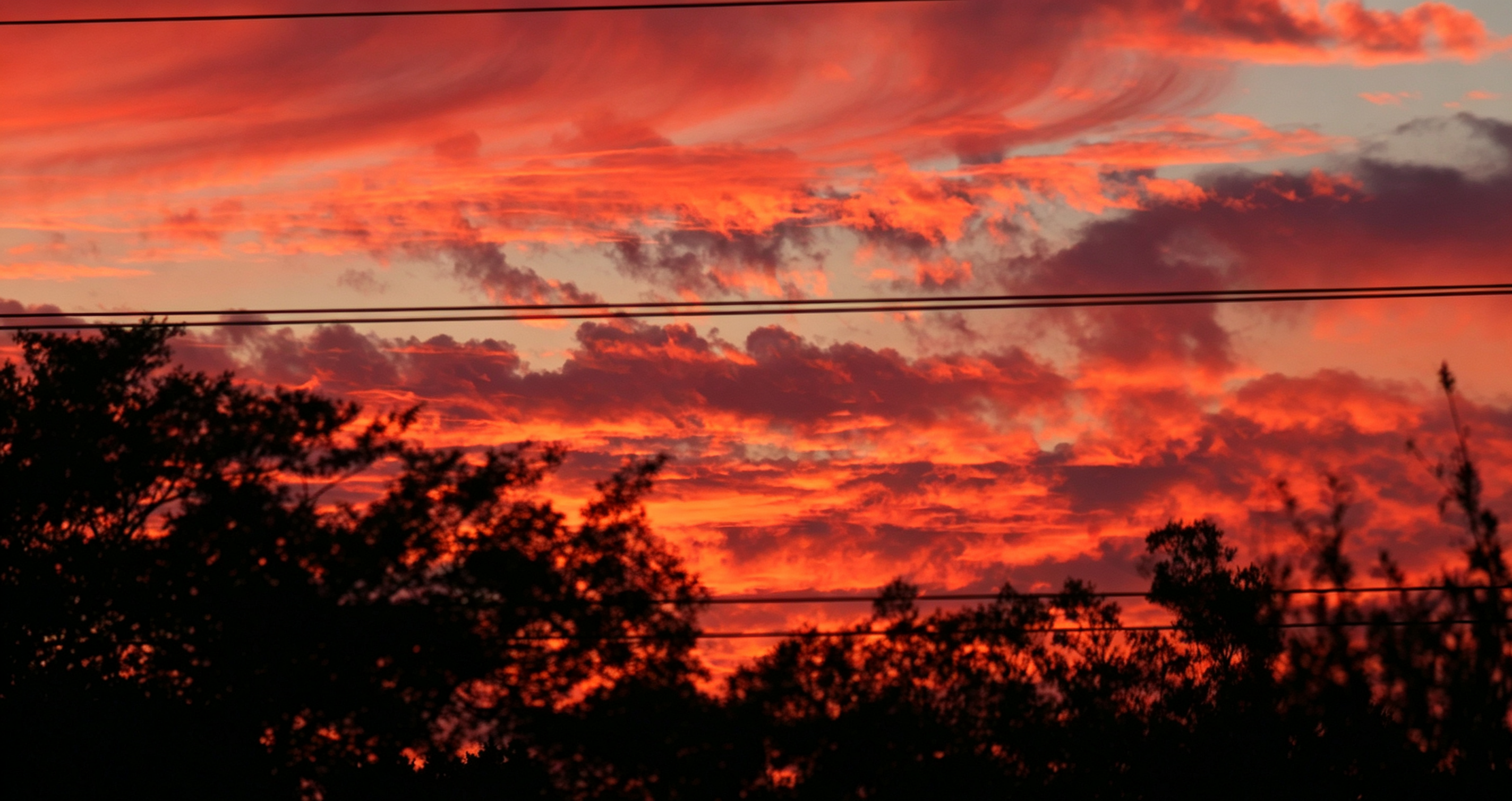 作品