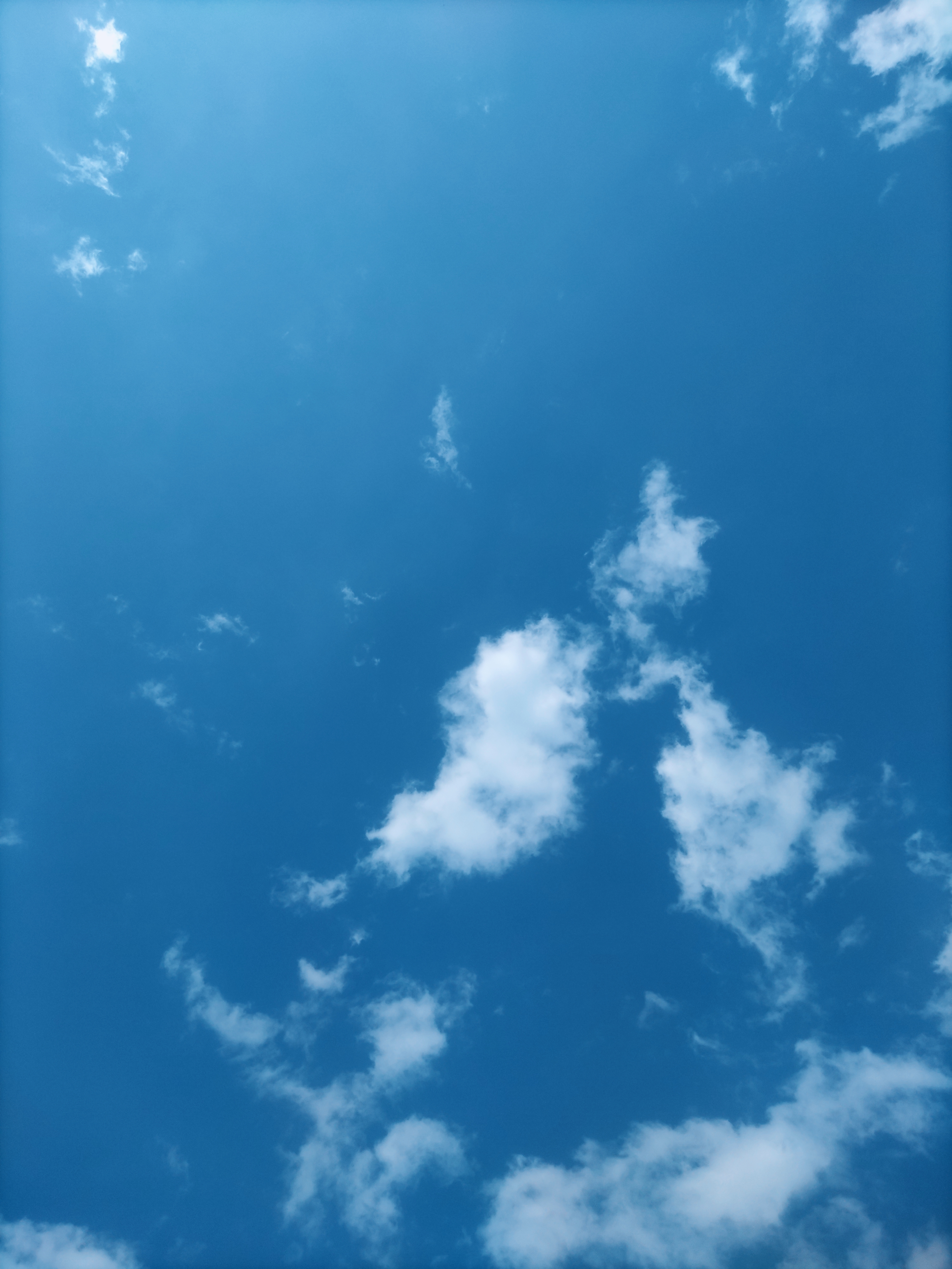 作品