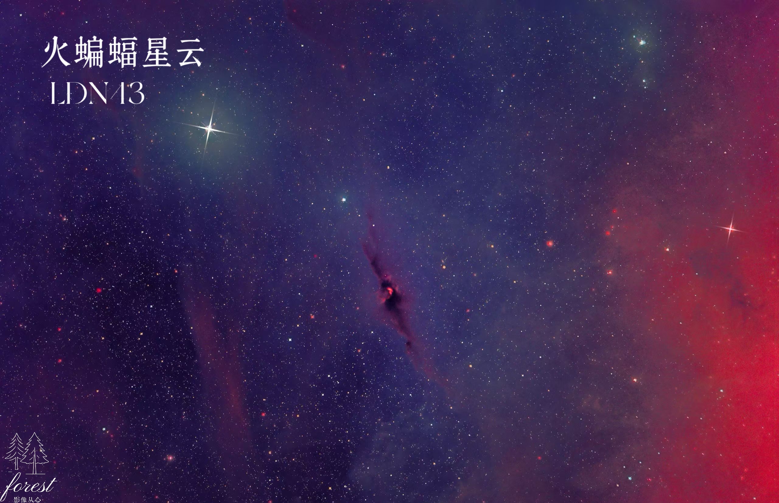 作品