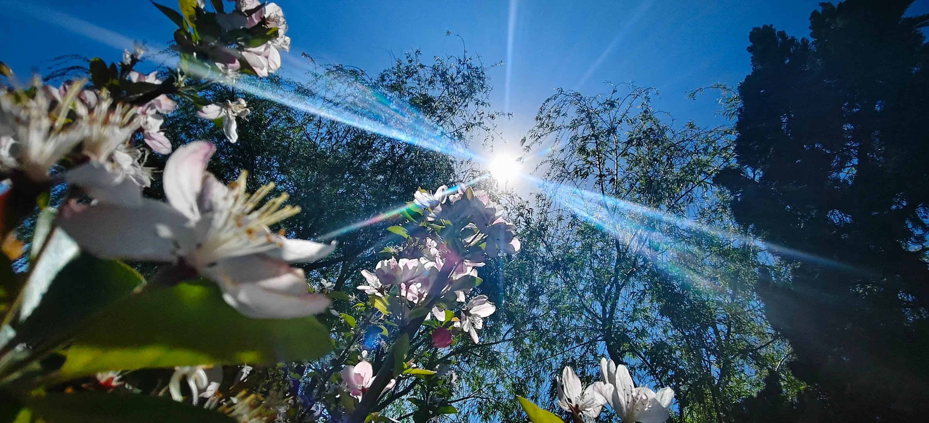 作品