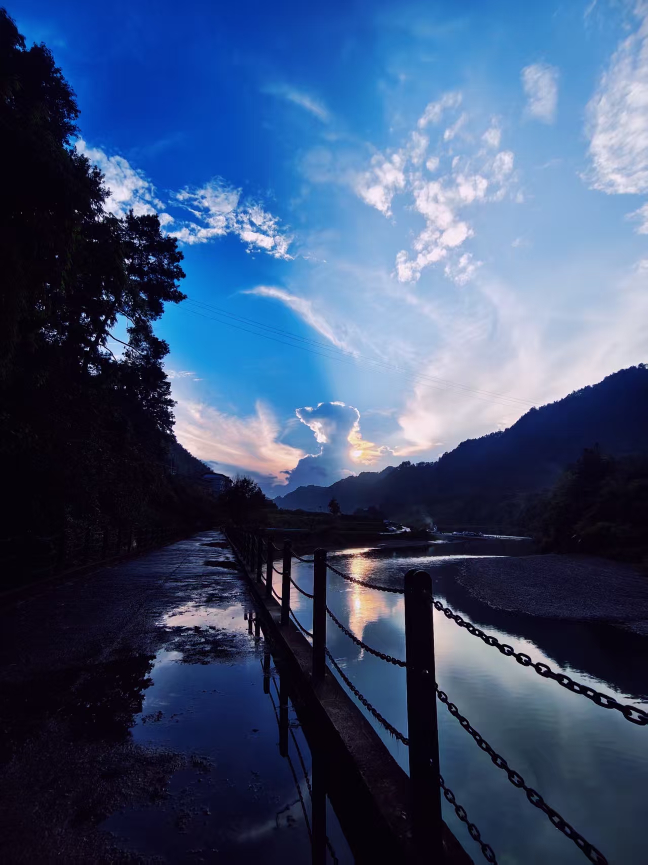杨子轩 作品