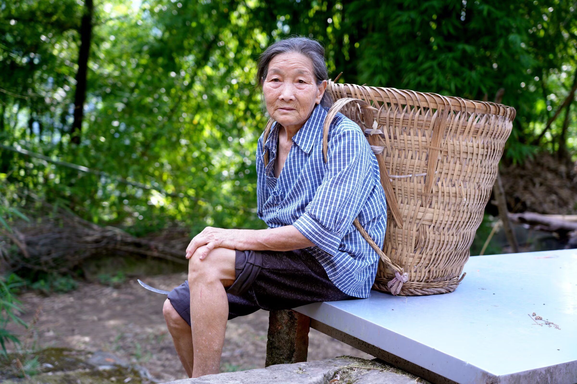 杨荣 作品